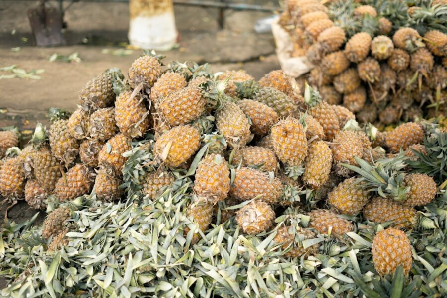 Representación visual de la innovación y expansión, elementos clave en la eficaz Gestión de Instituciones Educativas modernas.