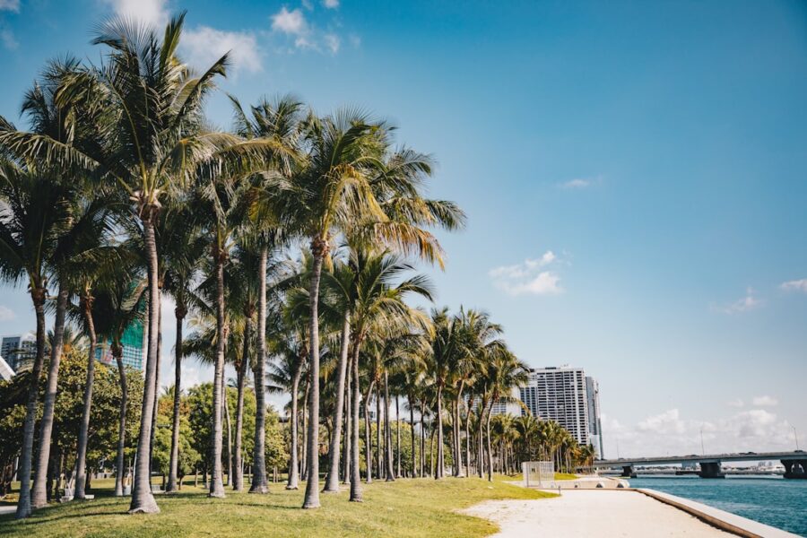 Empresario peruano analizando opciones de inversión inmobiliaria Florida para diversificar capital.